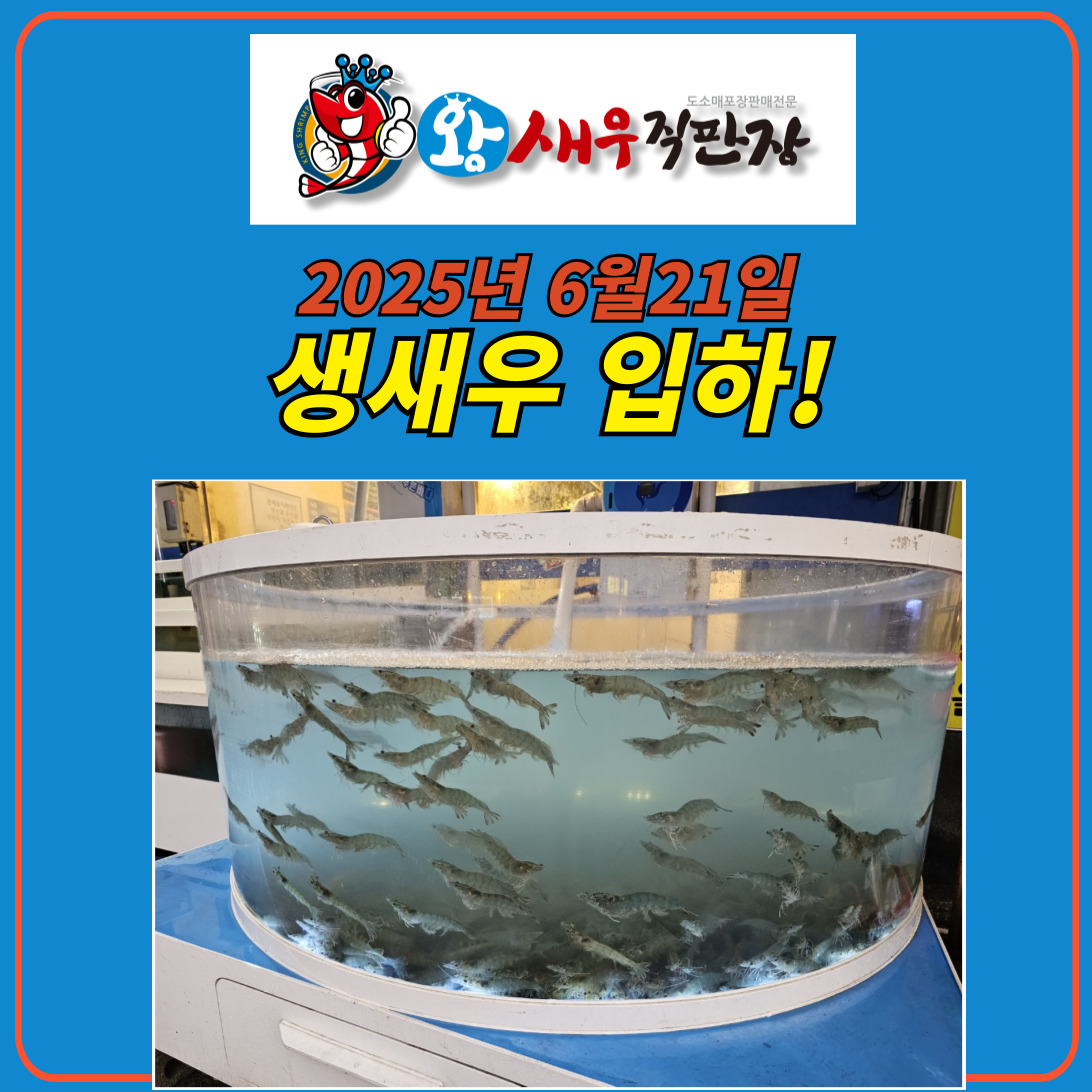 a686bd6146d1bbf2d30062a349e439fb_1750510337_8505.jpg